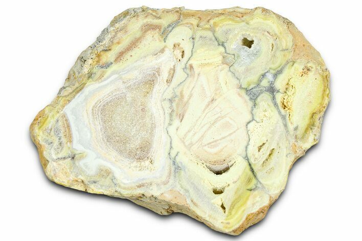 Clay Canyon Crandallite and Wardite - Old Collection Stock #362001